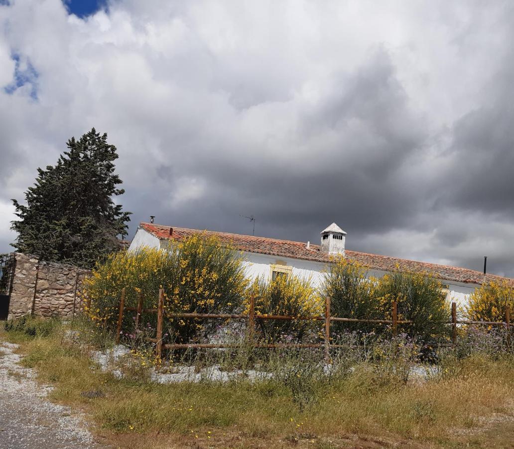 Holiday home El Aleznal *